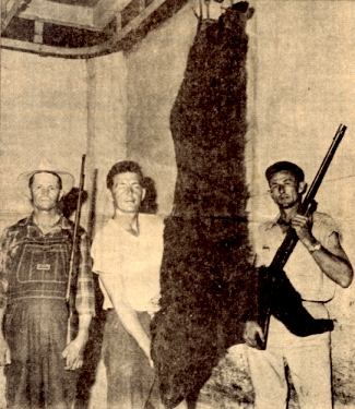 215 pound Black Bear Killed, Russellville, Alabama, Thursday, July 24, 1958